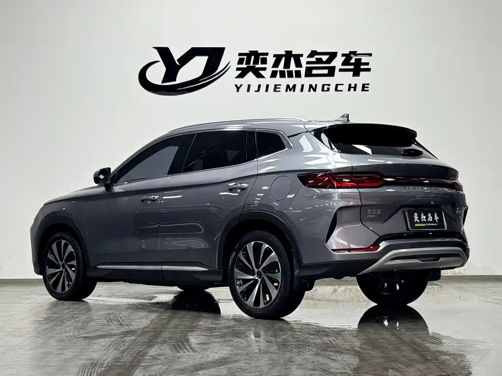 BYD PLUS New Energy 2024 — фото 9
