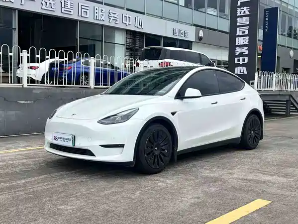 Tesla Model Y 2021