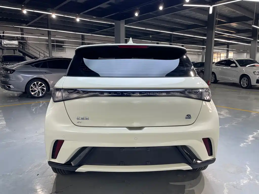 BYD Dolphin 2023 — фото 17