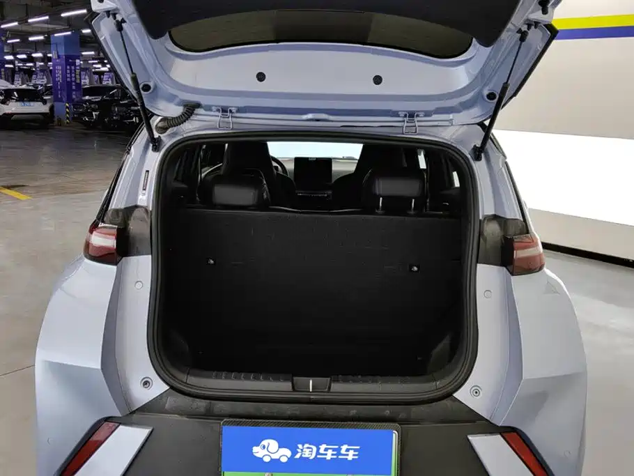 BYD Seagull 2024
