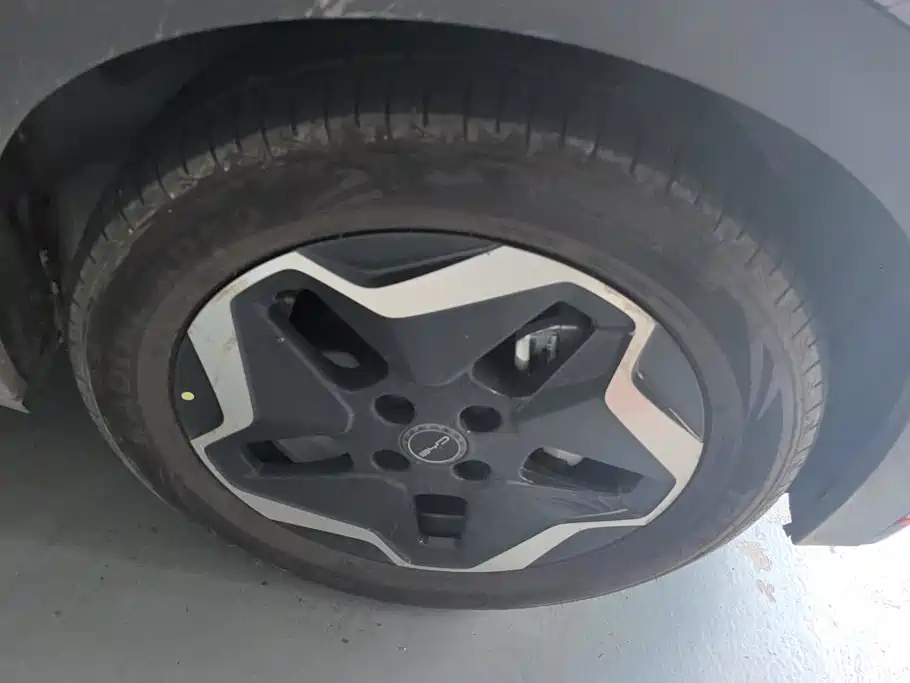 BYD Dolphin 2022