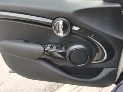 MINI MINI 2018