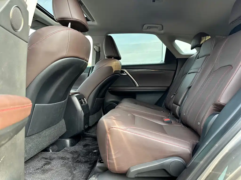 Lexus RX 2020 — фото 13