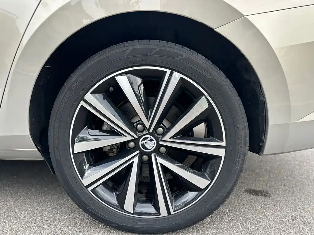 Skoda Speedy 2023 — фото 14