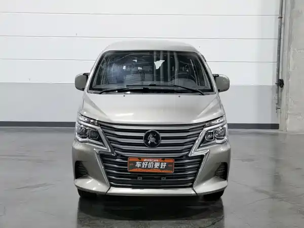 Dongfeng Lingzhi 2024