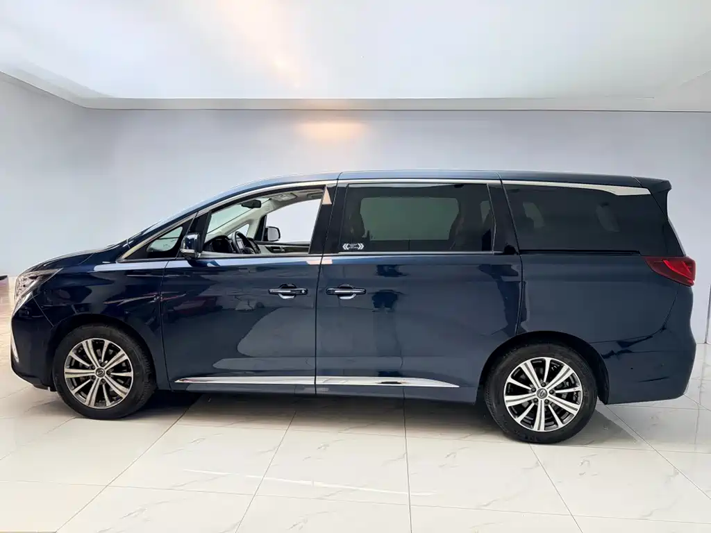 GAC Motor Trumpchi M8 2019 — фото 4