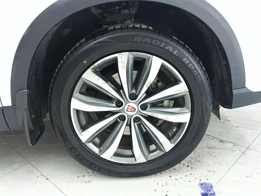 Roewe RX5 MAX 2020 — фото 6