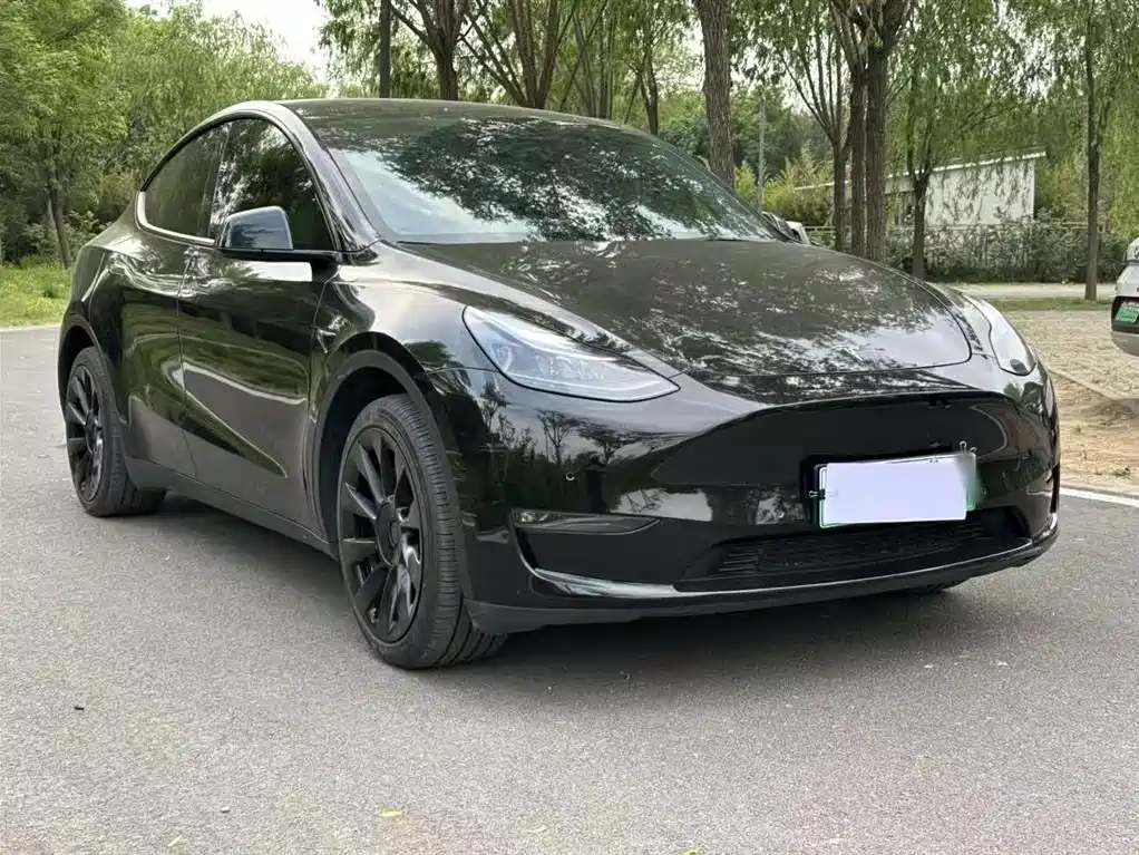 Tesla Model Y 2023 — фото 4