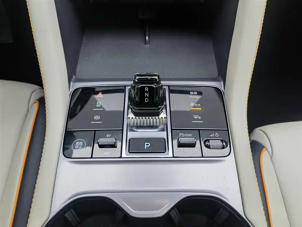 BYD PLUS New Energy 2024 — фото 13