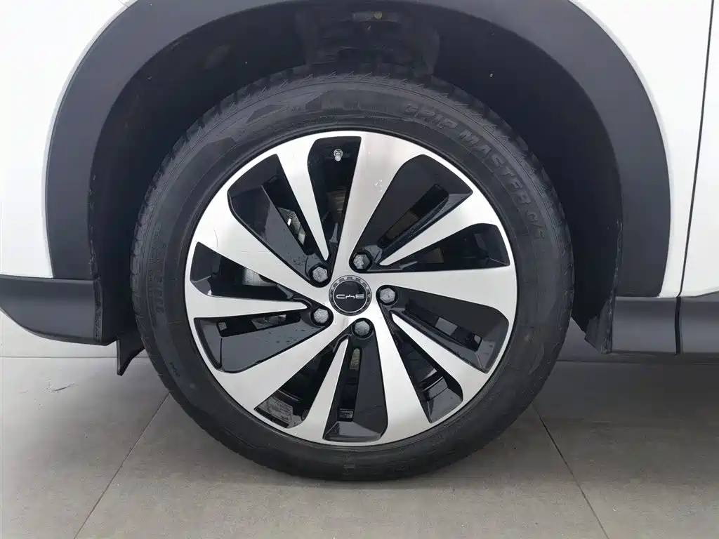 BYD PLUS New Energy 2024 — фото 17