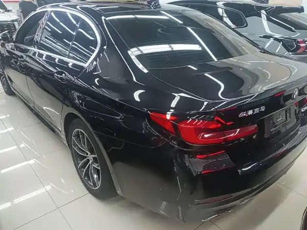 BMW 5 Series New Energy 2021