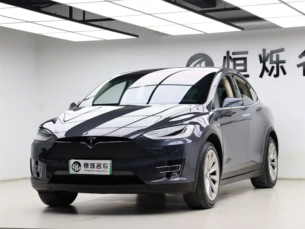 Tesla Model X 2017 — фото 24