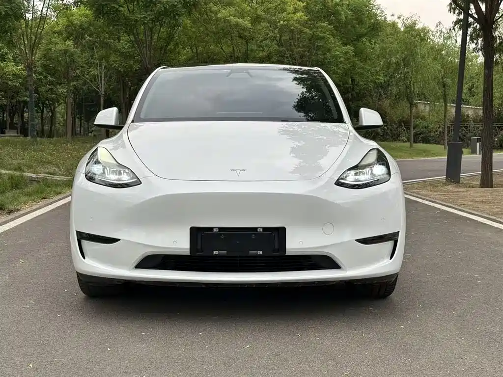Tesla Model Y 2021 — фото 3
