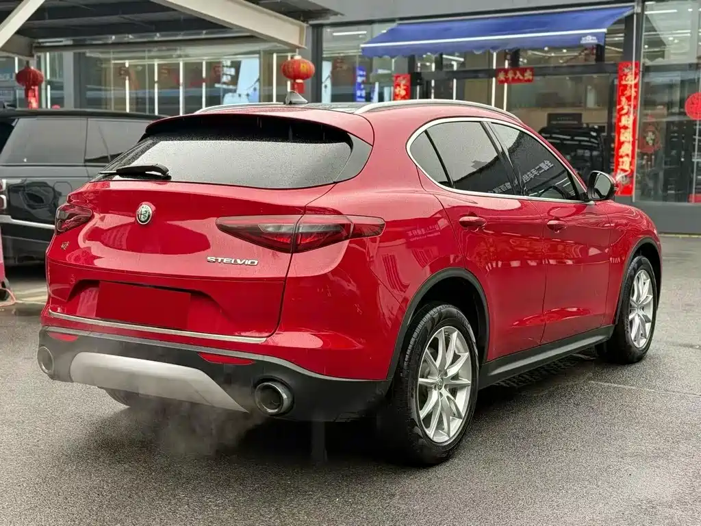 Alfa Romeo Stelvio 2019 — фото 9