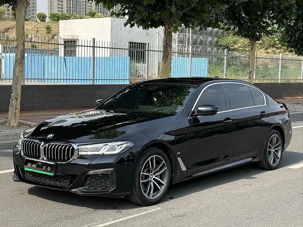 BMW 5 Series New Energy 2022 — фото 1