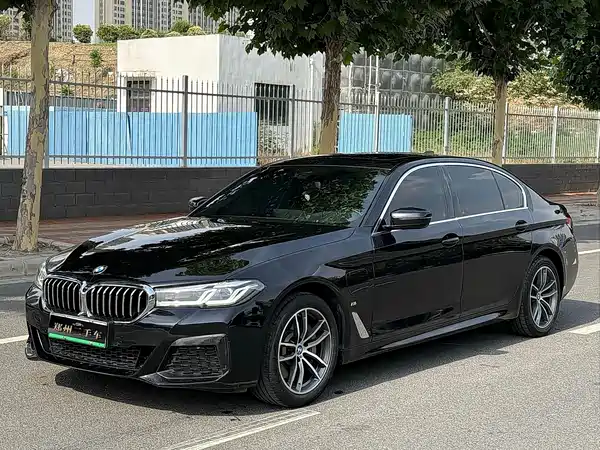 BMW 5 Series New Energy 2022