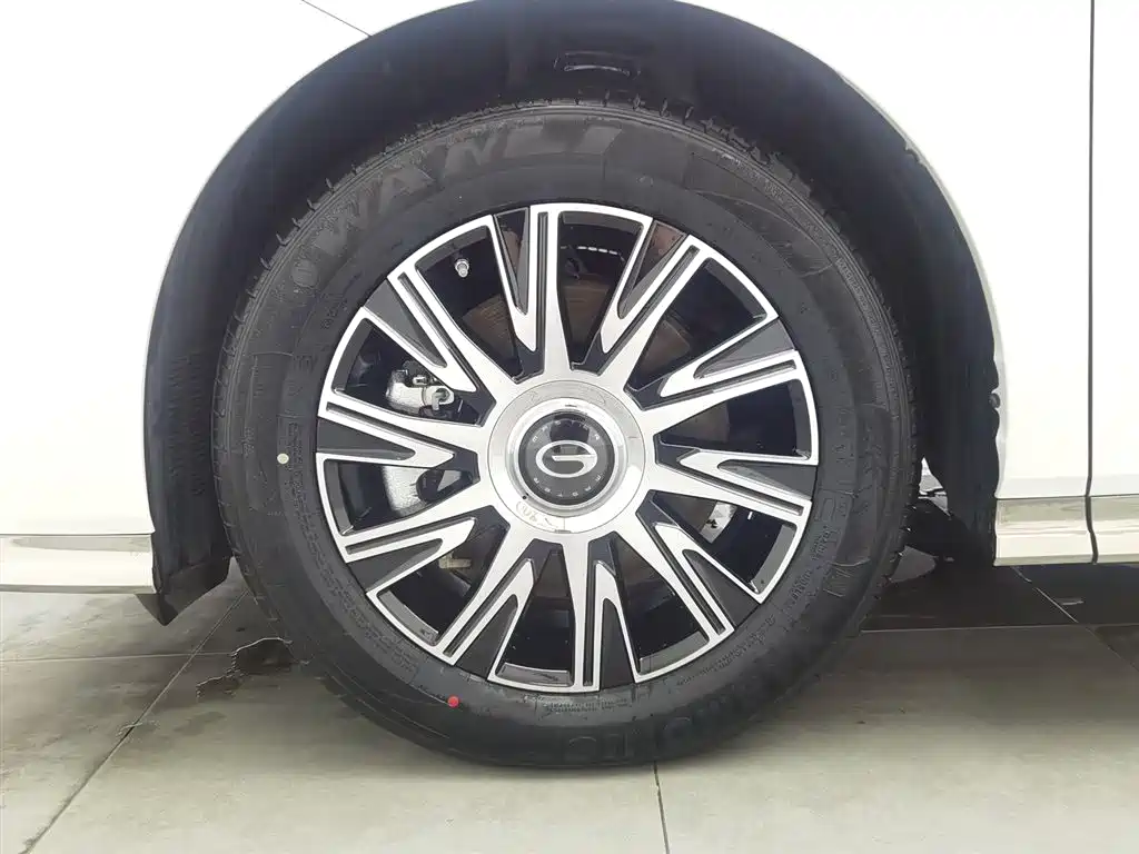 GAC Motor Trumpchi E9 2025 — фото 17