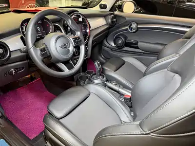 MINI MINI 2021