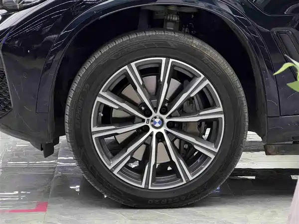 BMW X5 New Energy 2020