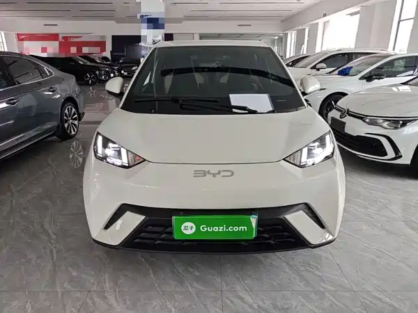 BYD Seagull 2024