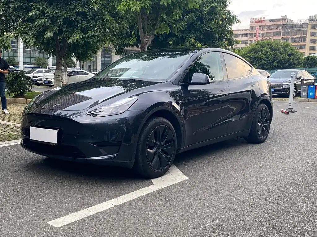 Tesla Model Y 2024 — фото 1