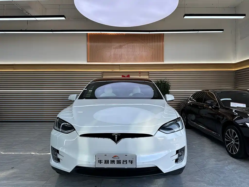 Tesla Model X 2019 — фото 2