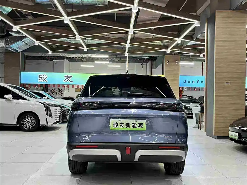 BYD Sealion 07 DM-i 2025 — фото 6