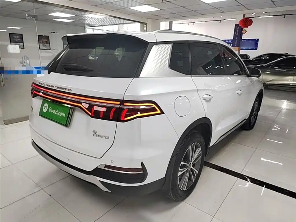 BYD Pro New Energy 2023 — фото 7