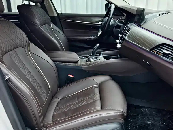 BMW 5 Series New Energy 2020