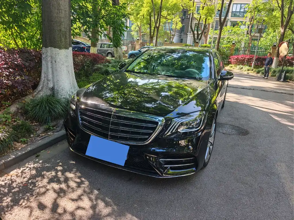 Mercedes-Benz S-Class 2019 — фото 1