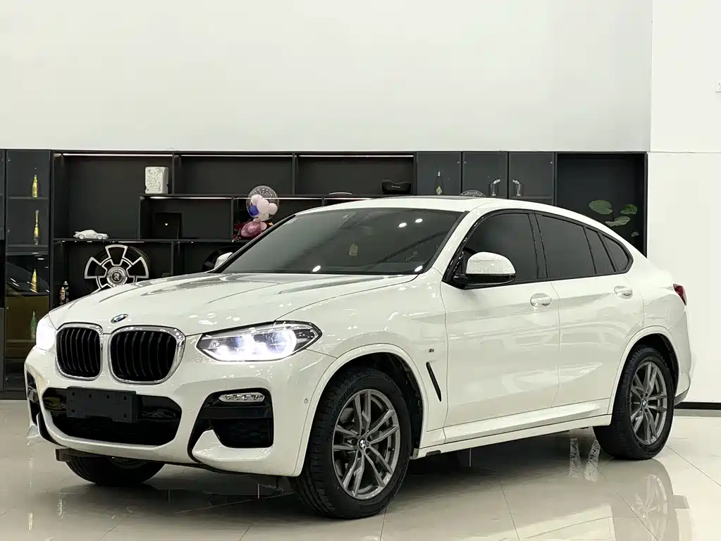 BMW X4 2019 — фото 1
