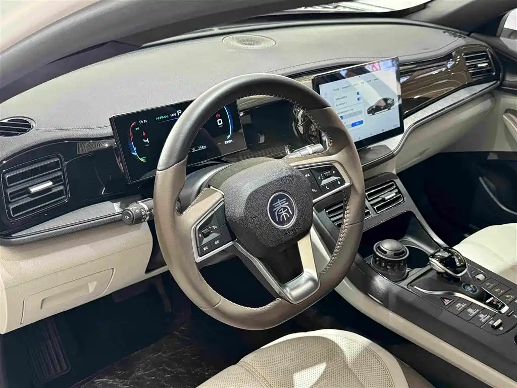 BYD Qin PLUS 2024 — фото 14