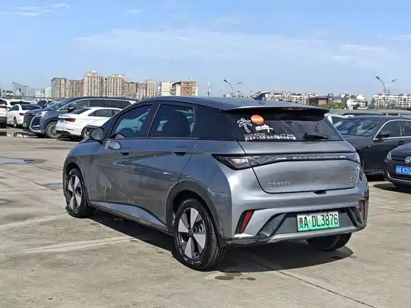 BYD Dolphin 2024