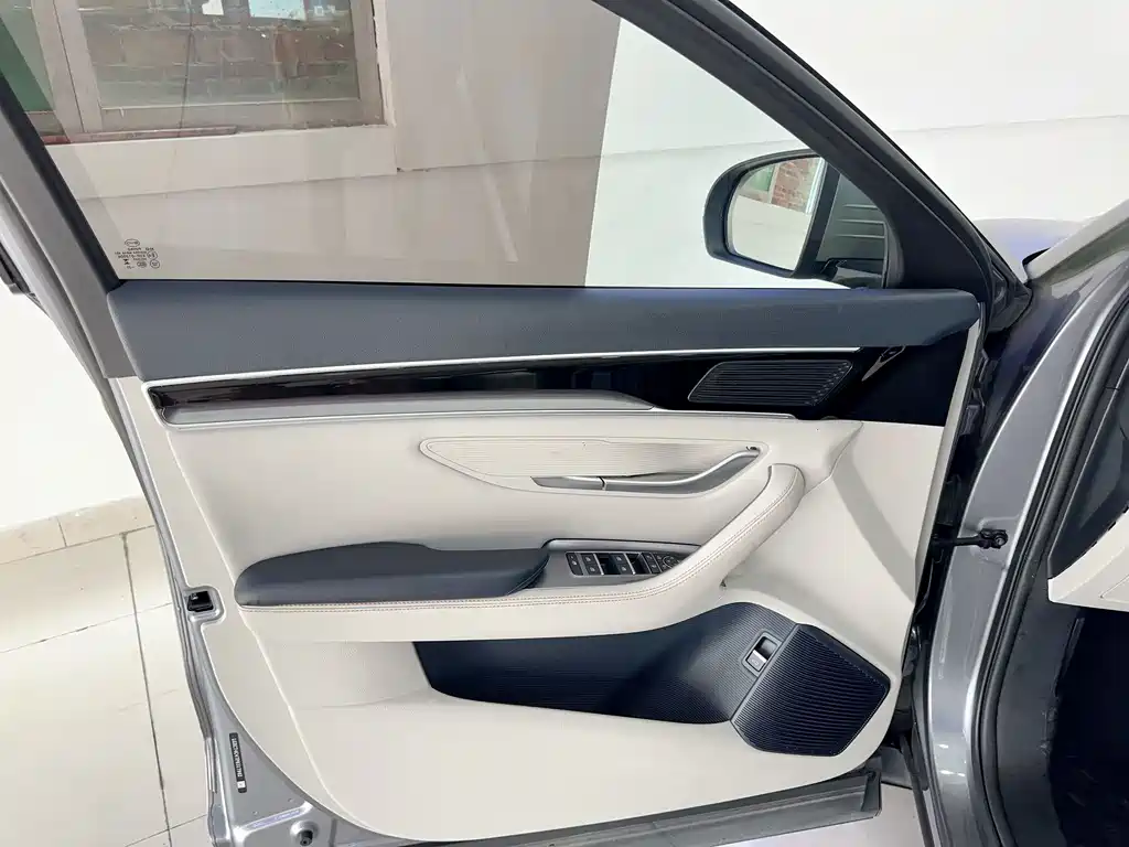 BYD Song PLUS New Energy 2023 — фото 14