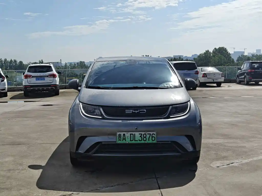 BYD Dolphin 2024