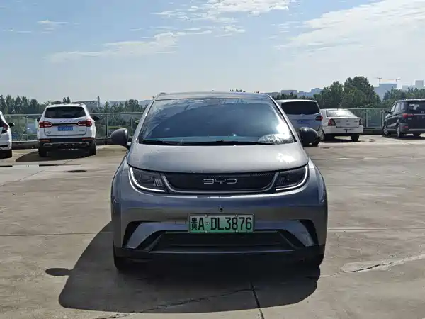 BYD Dolphin 2024