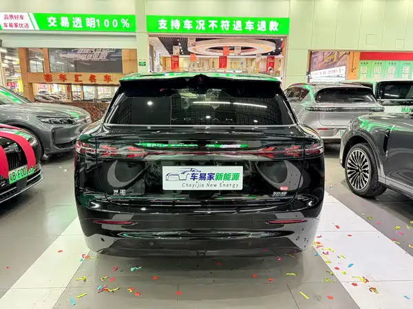 Voyah Zhiyin 2025