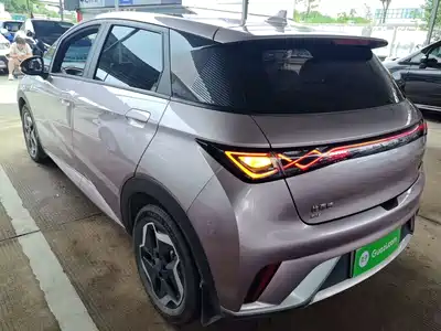 BYD Dolphin 2022