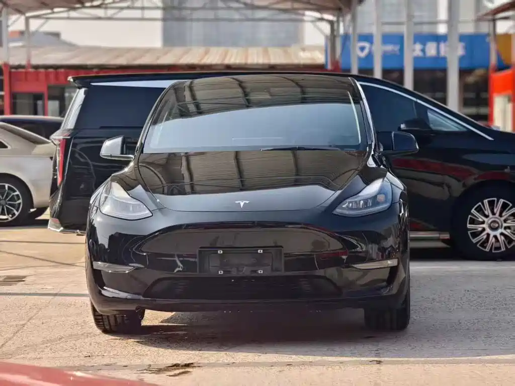 Tesla Model Y 2023 — фото 2