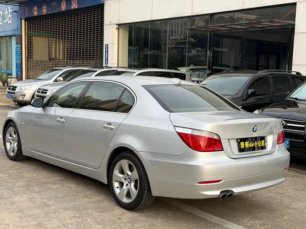 BMW 5 Series 2010