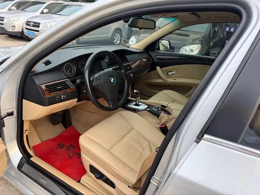 BMW 5 Series 2010