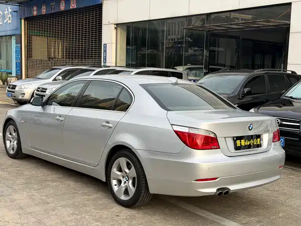 BMW 5 Series 2010