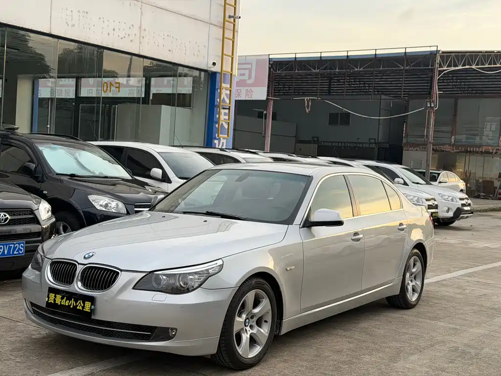 BMW 5 Series 2010