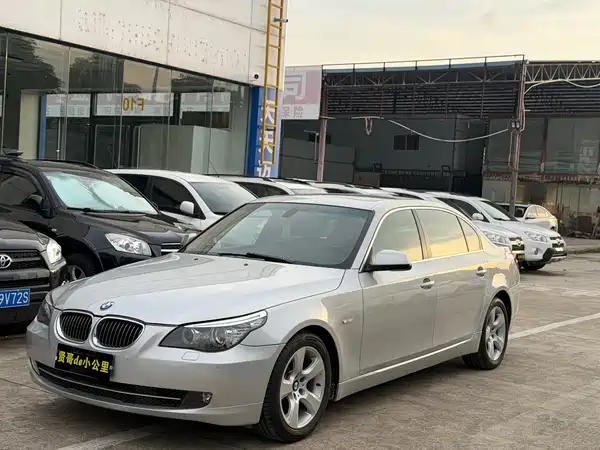 BMW 5 Series 2010