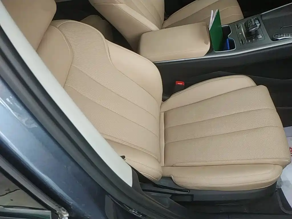 BYD Song Pro New Energy 2025 — фото 25