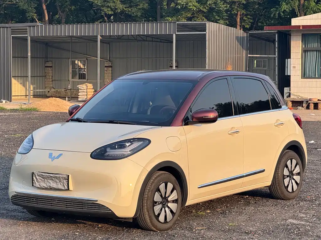Wuling Bingo 2025