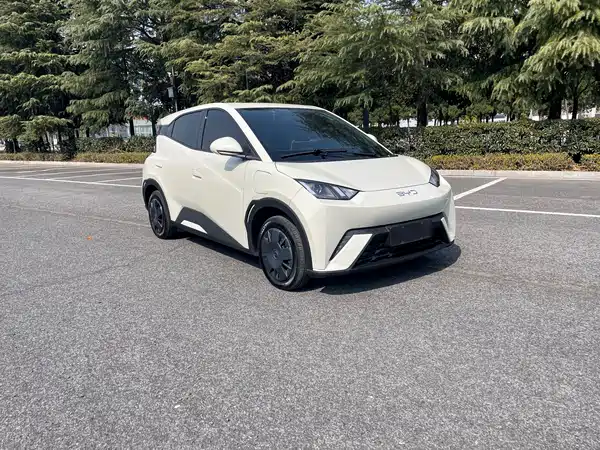 BYD Seagull 2024