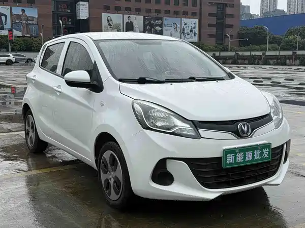 Changan Benben E-Star 2021