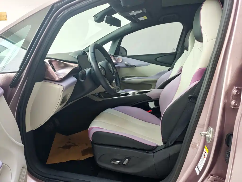 BYD Dolphin 2022