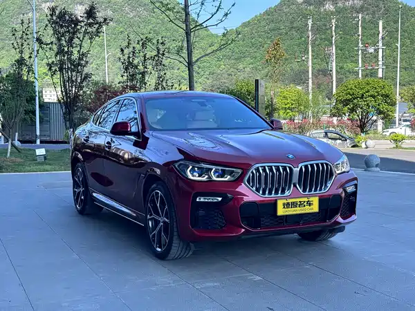 BMW X6 2021